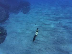 Avatar de 'Freedive_avec_moi