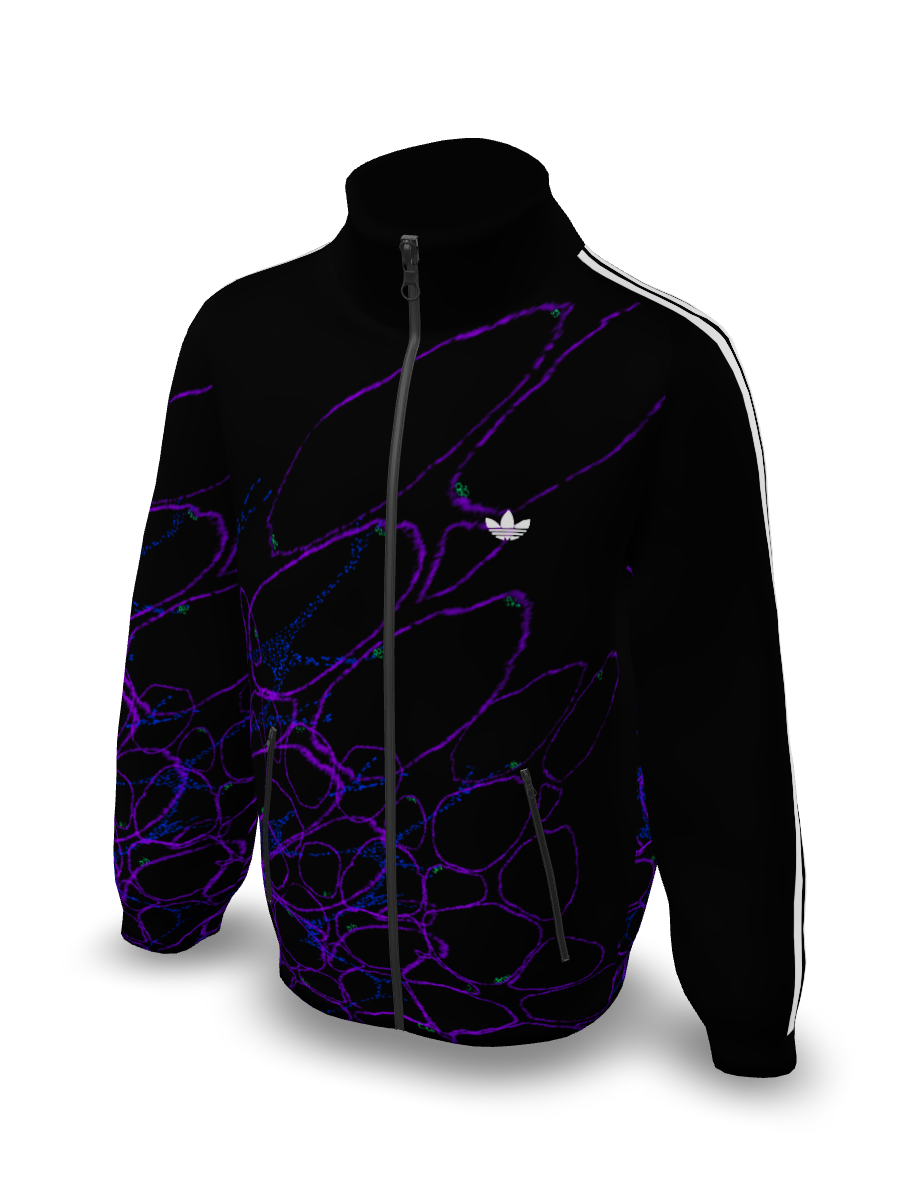 Cellular veste